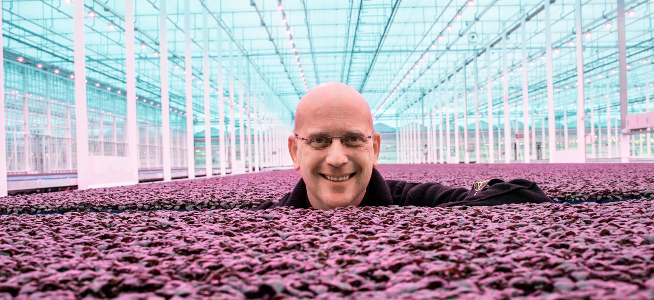 Creatief met cressen