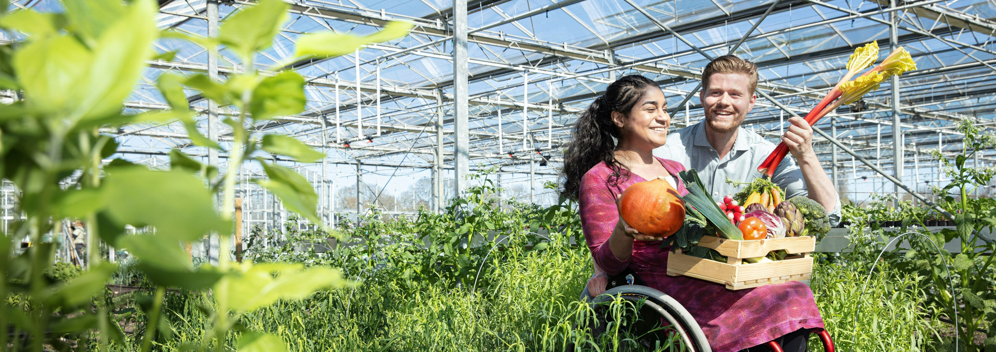 Iedereen een eetbaar tuintje