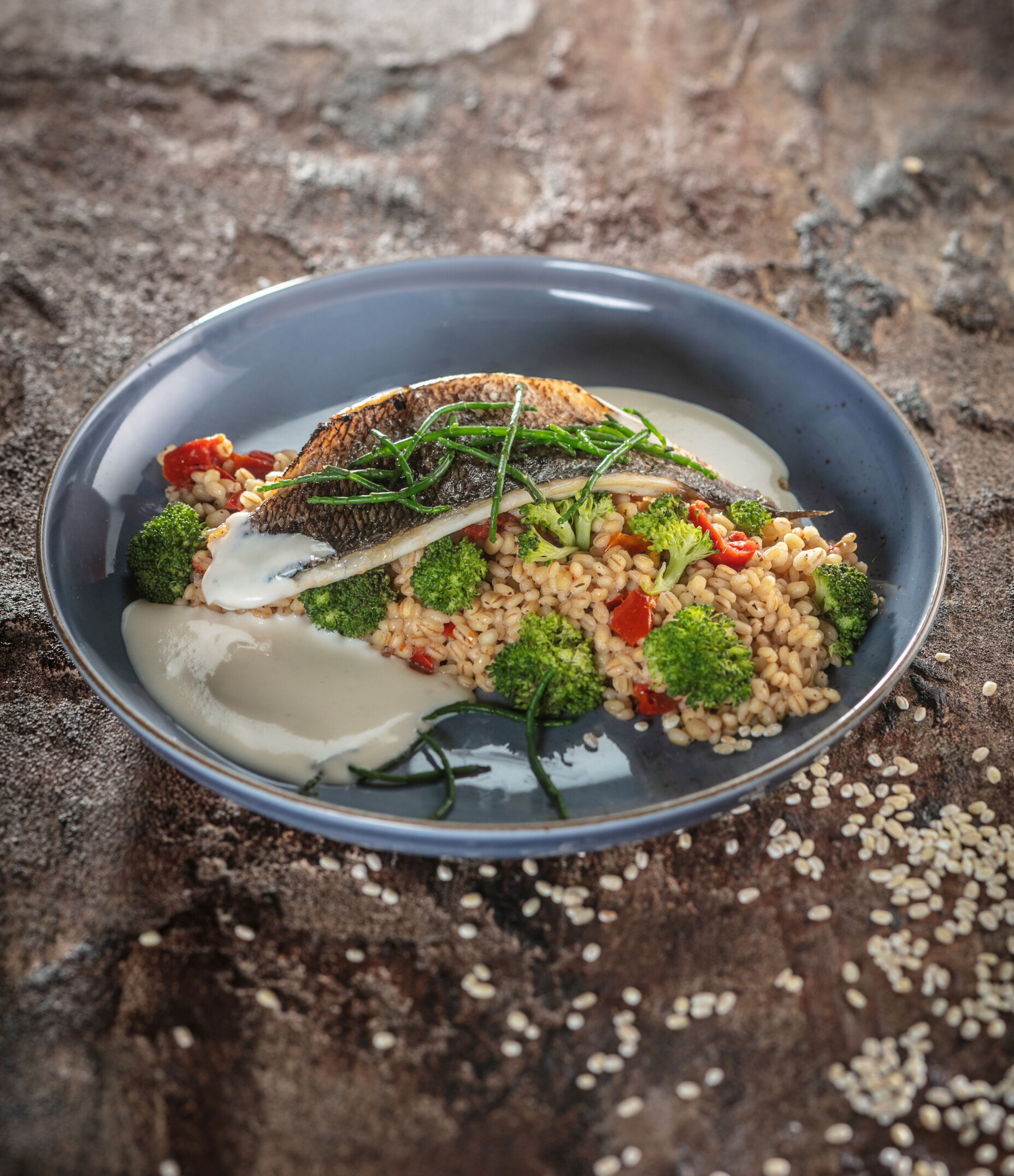 Alkmaarse gort met vis