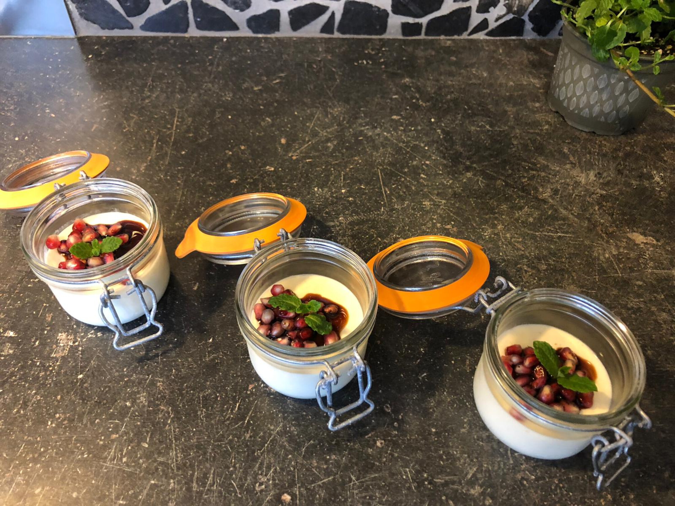 Panna cotta met granaatappel