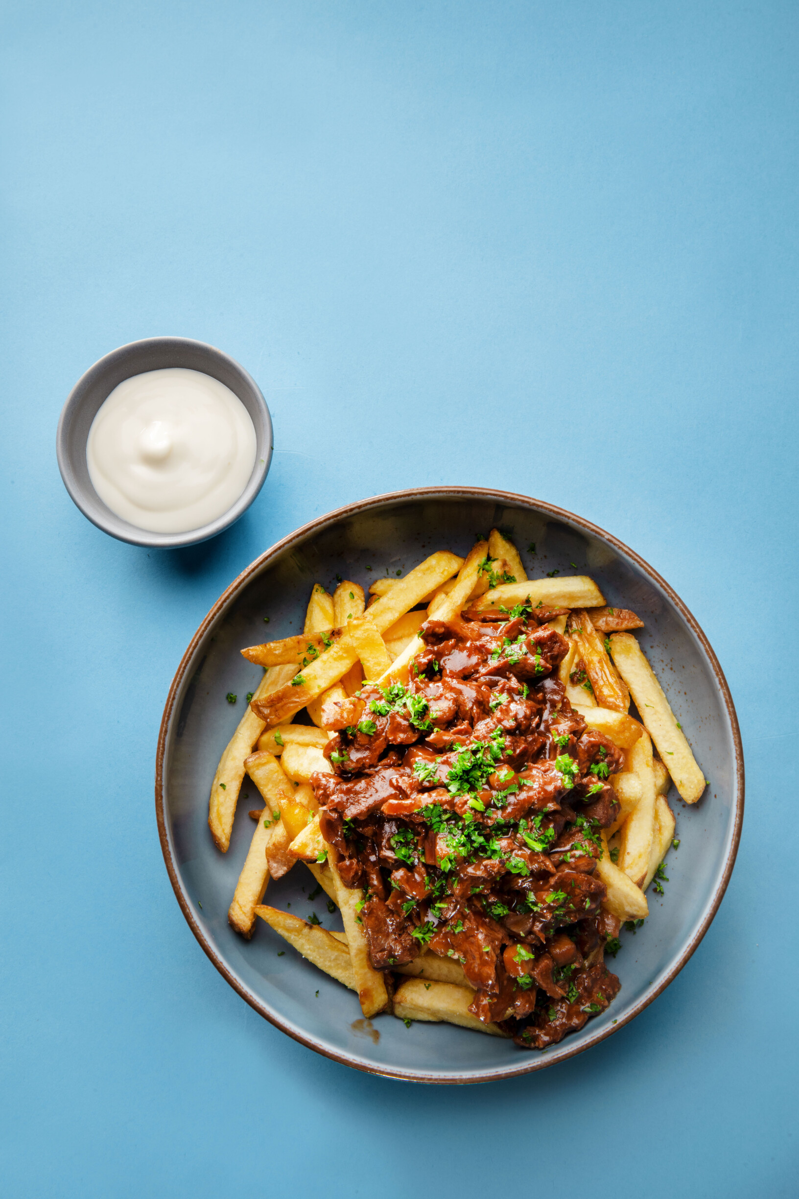 Frietje stoof met mayo