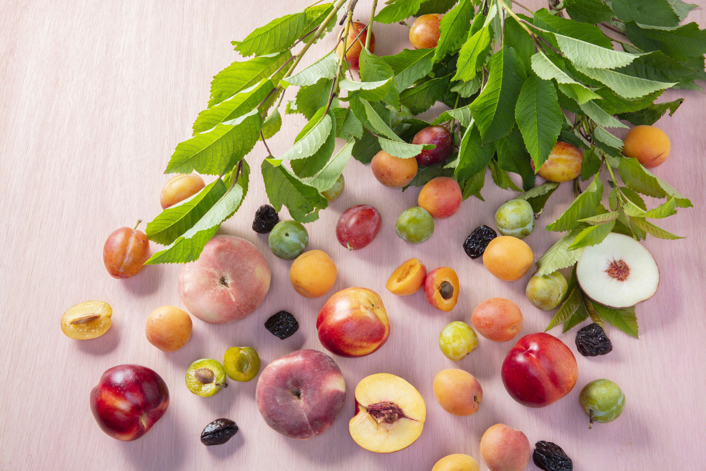 Vrolijke smaakmakers