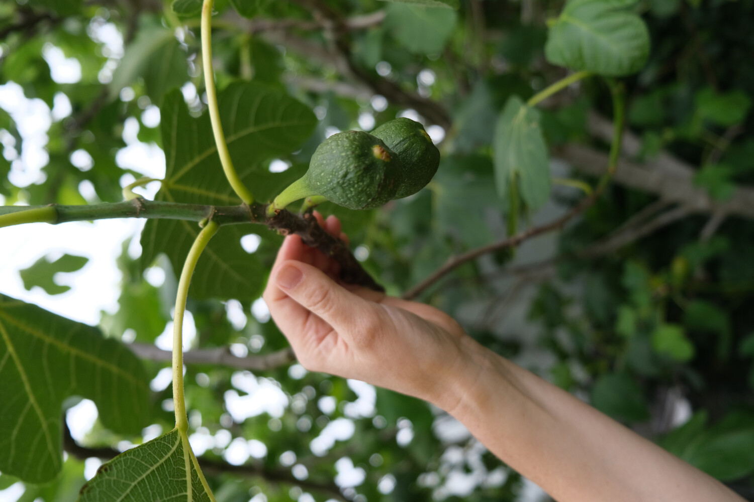 Voeding en leefstijl