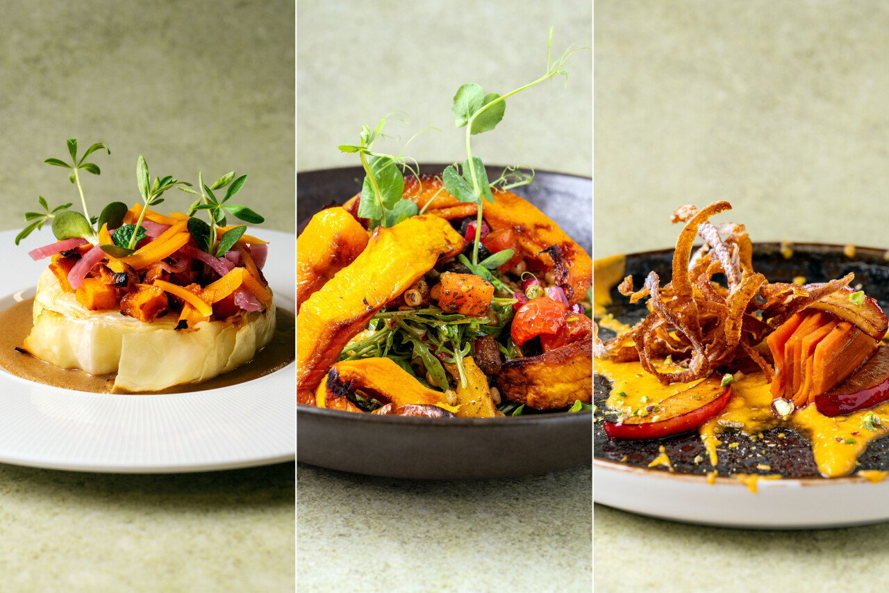 3x Recepten met regeneratieve groenten