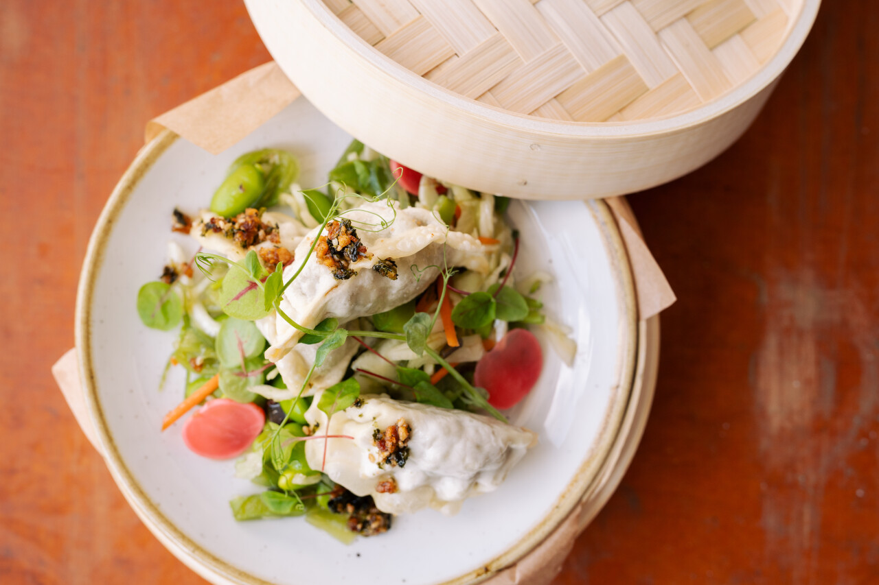 Aziatische gyoza salade