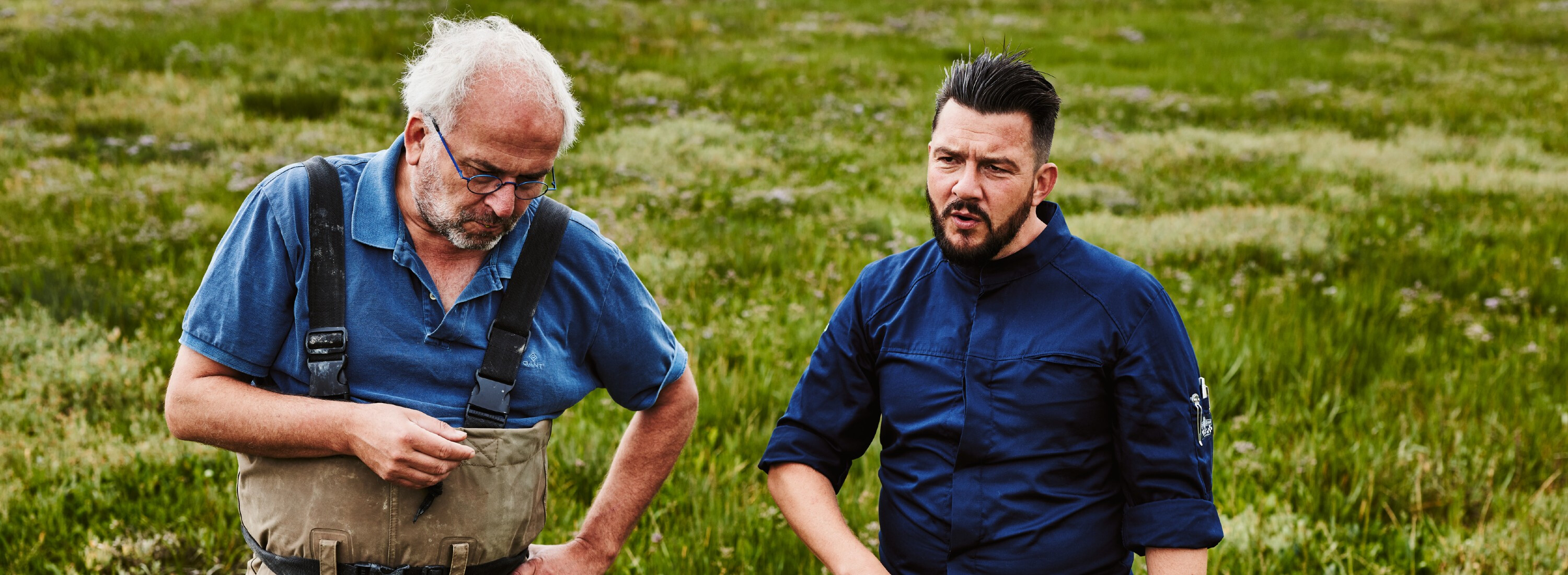 De schorren op met Elenbaas Zeegroenten