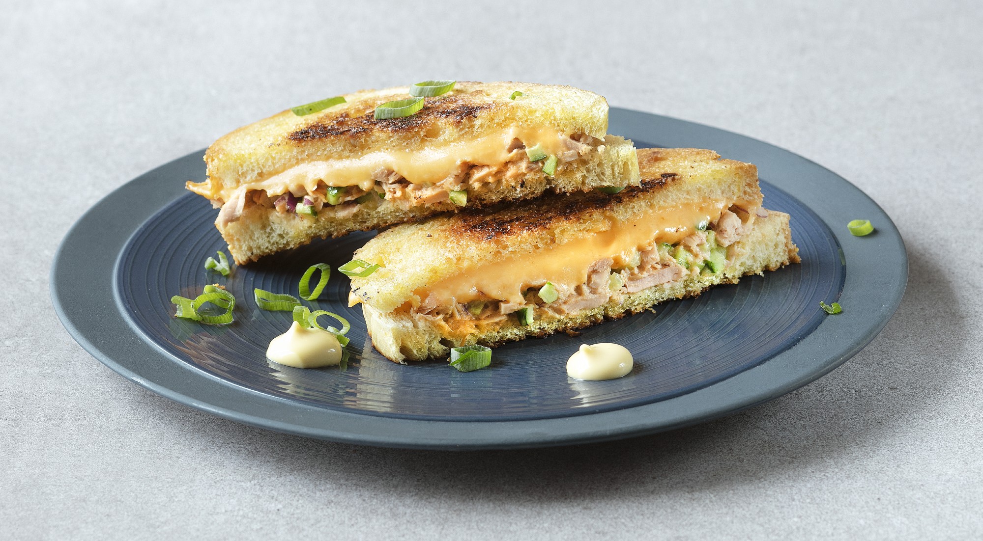 Tosti tonijn Tosti tonijn